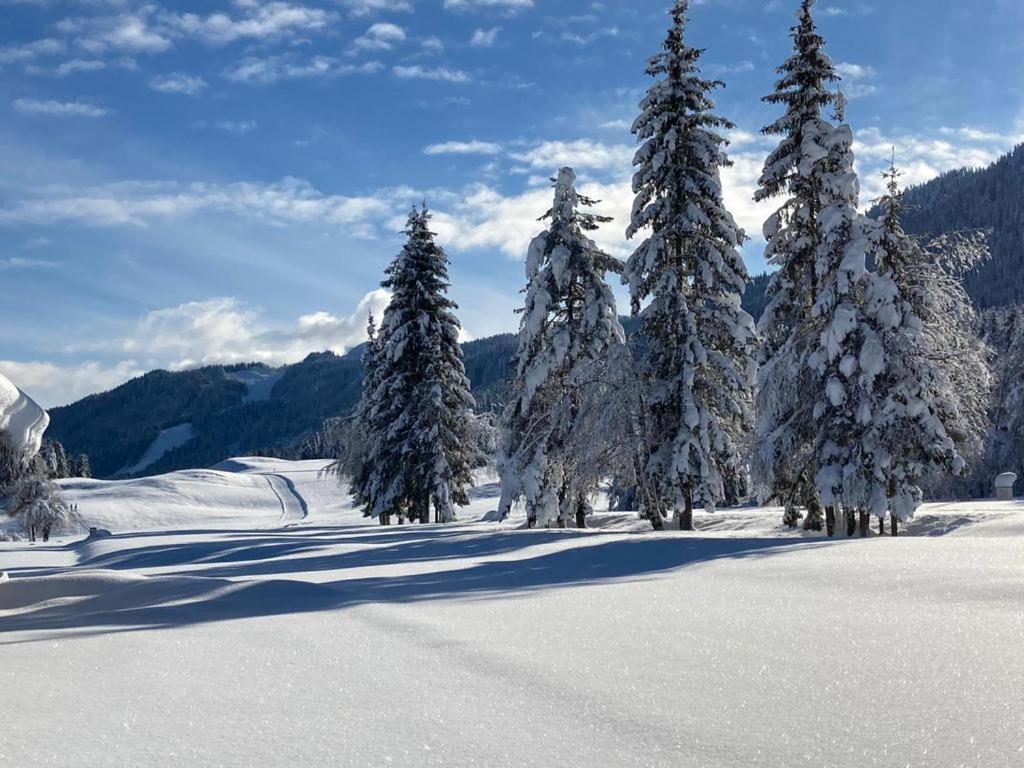 Ferienhof Hoffmann Hotell Weissensee Exteriör bild