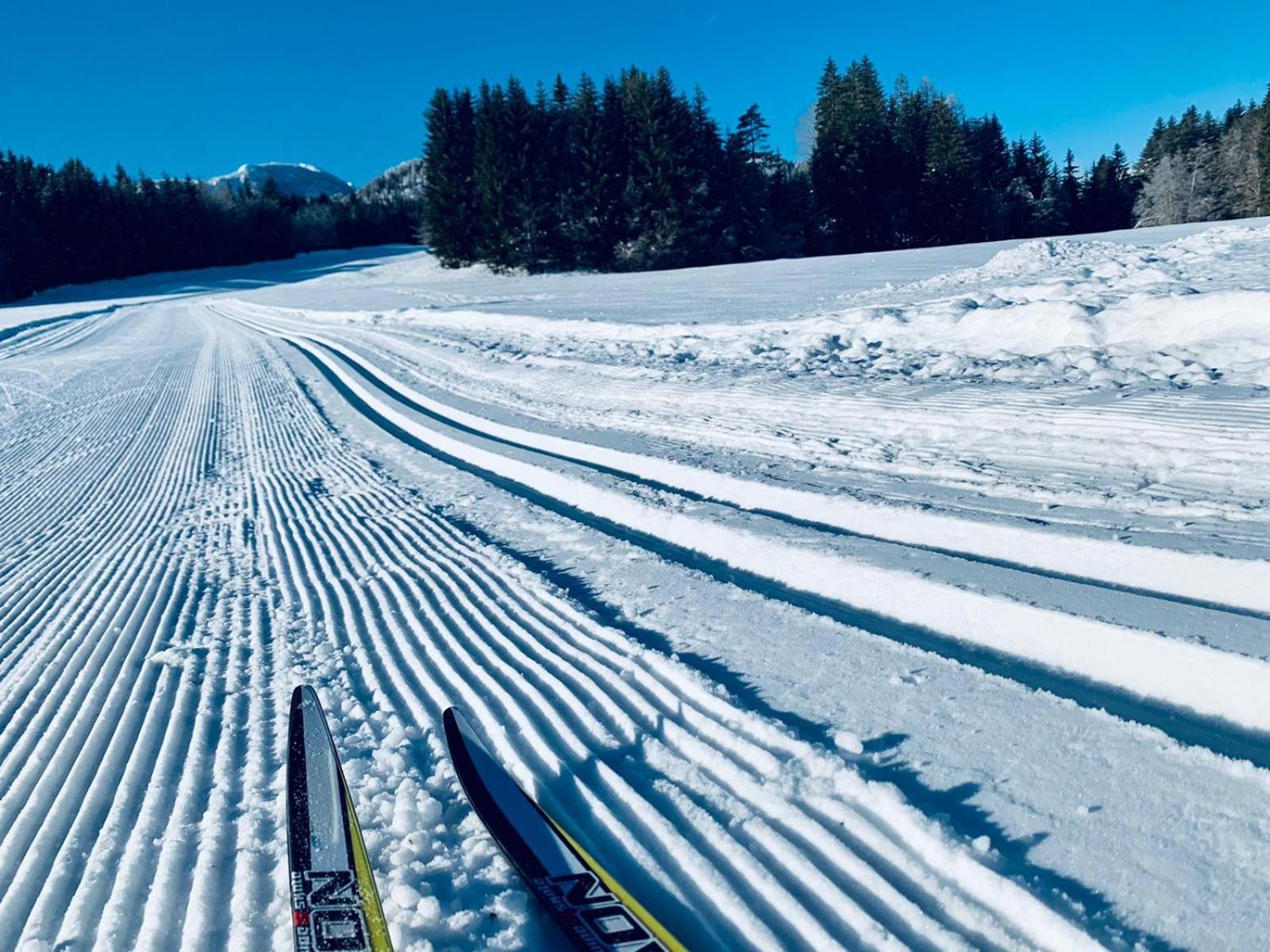 Ferienhof Hoffmann Hotell Weissensee Exteriör bild