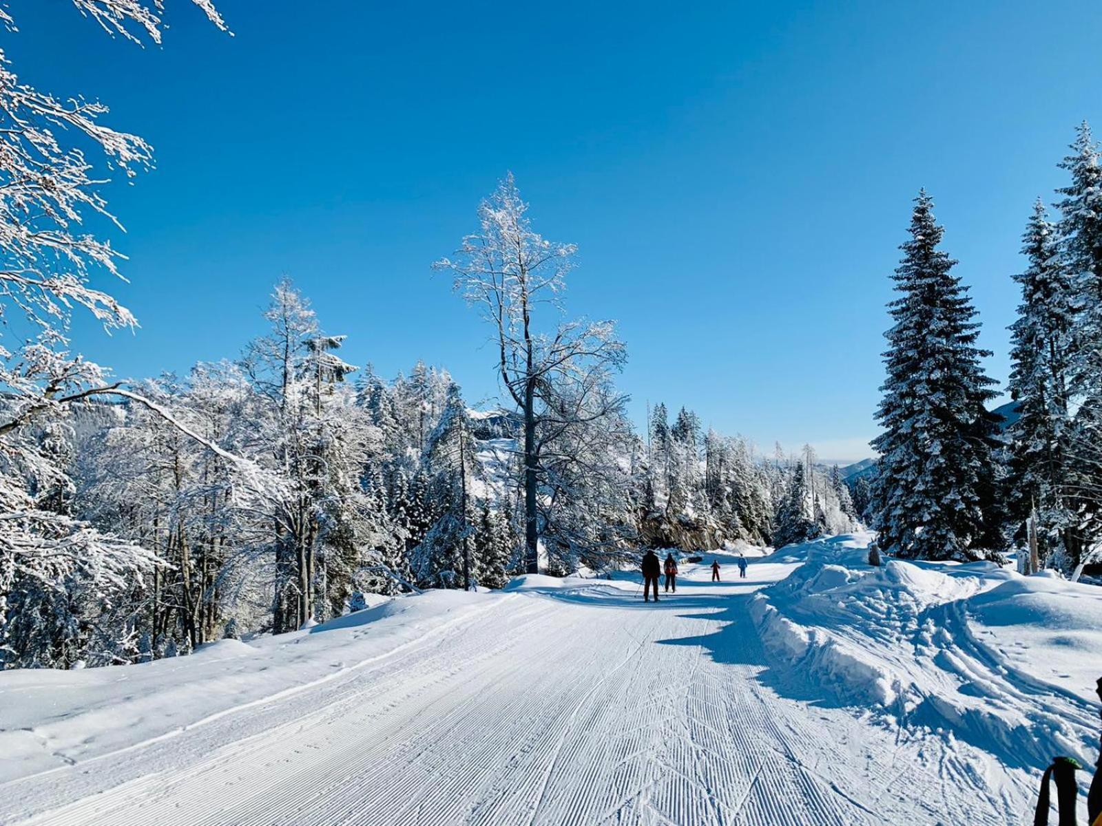 Ferienhof Hoffmann Hotell Weissensee Exteriör bild